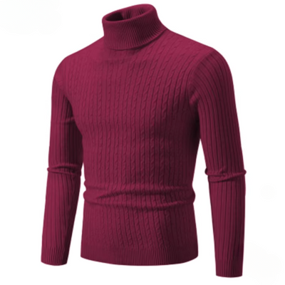 Shaun™ - Rollkragenpullover
